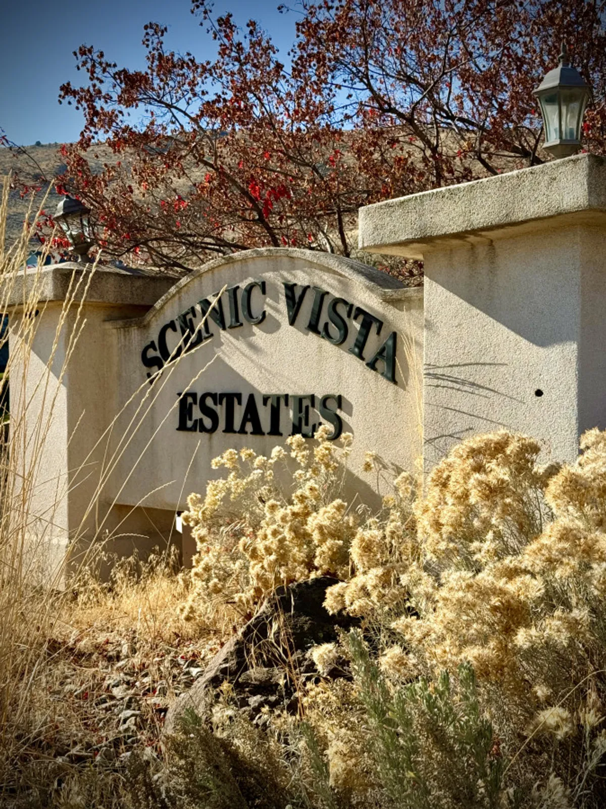 A sign reading 'SCENIC VISTA ESTATES' stands amidst lush foliage, with rolling hills in the background. The image evokes a sense of arrival and the scenic, natural surroundings of the property.